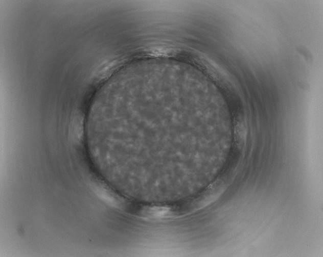 X0000115340554200911231435