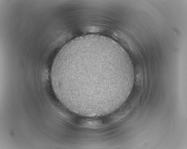 X0000115340555200911231435