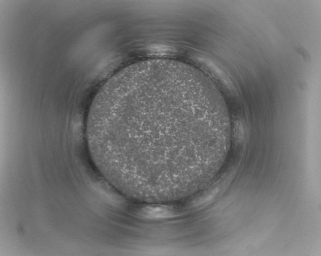 X0000115340557200911231435