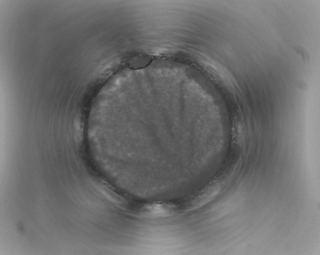 X0000115340558200911231435