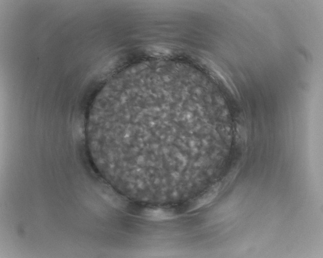 X0000115340561200911231435