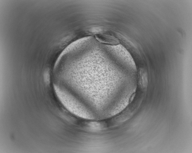 X0000115340562200911231435