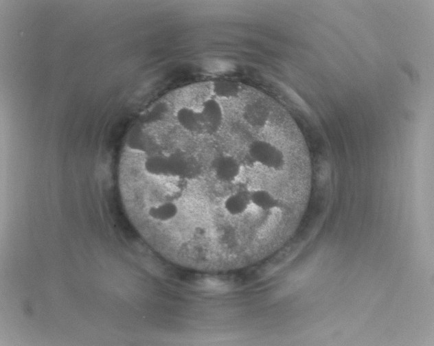 X0000115340565200911231435