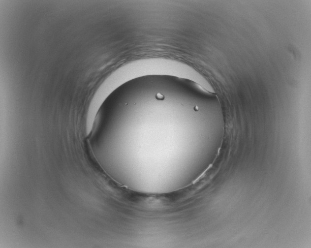 X0000115340566200911231435