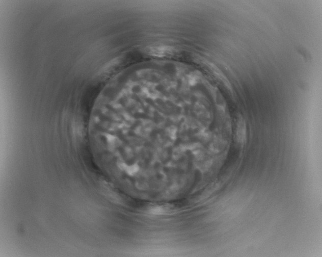 X0000115340569200911231435