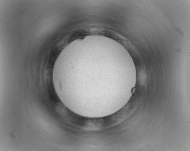 X0000115340571200911231435