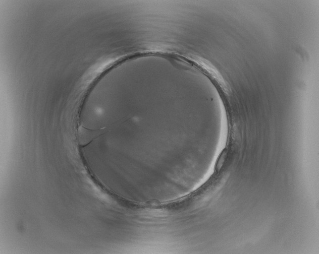 X0000115340577200911231434