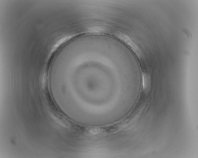 X0000115340579200911231434