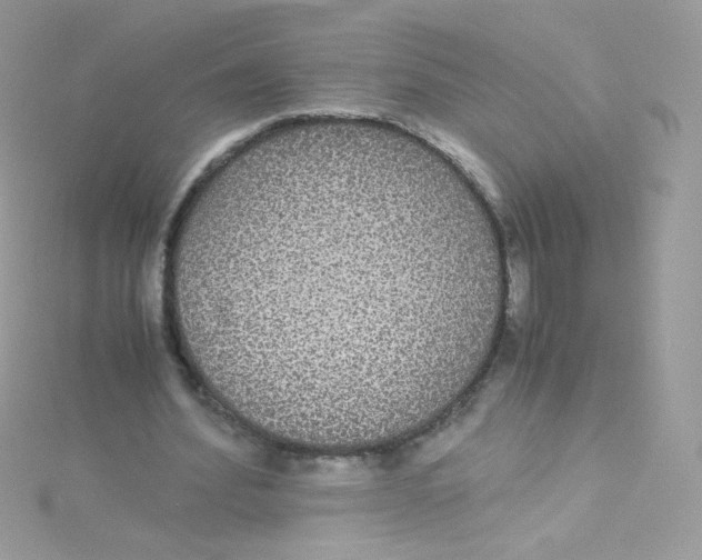 X0000115340580200911231434