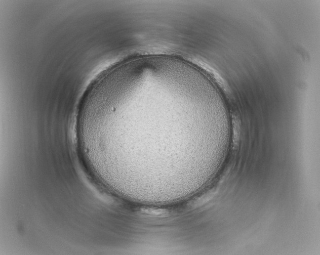 X0000115340582200911231434