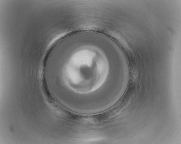 X0000115340583200911231434