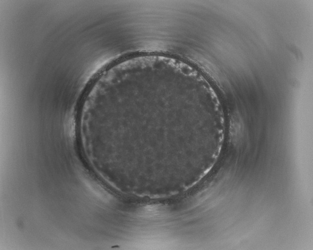 X0000115340584200911231434