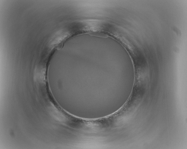 X0000115340585200911231434