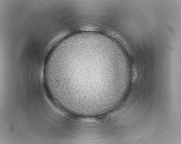 X0000115340586200911231434