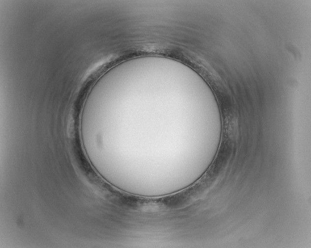 X0000115340587200911231434