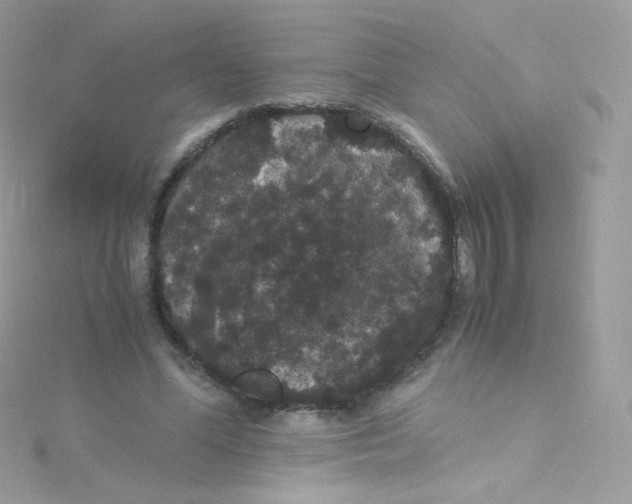 X0000115340588200911231434