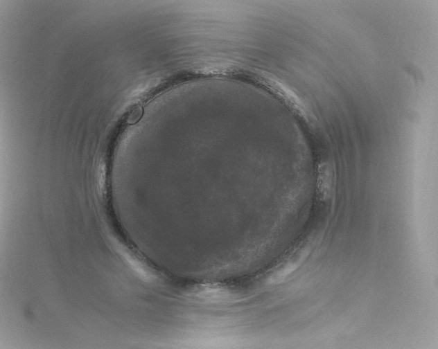 X0000115340589200911231434