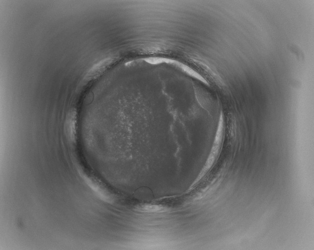 X0000115340590200911231434