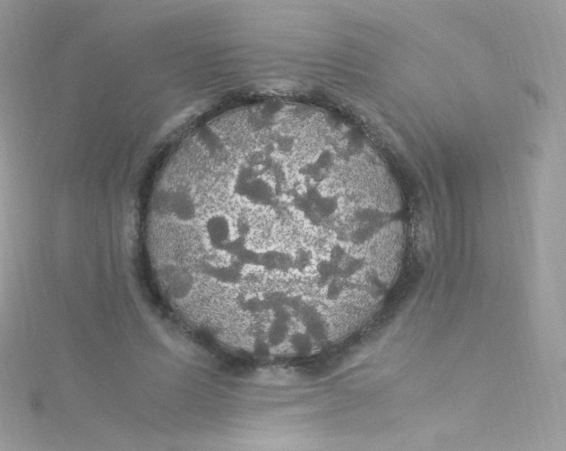 X0000115340591200911231434