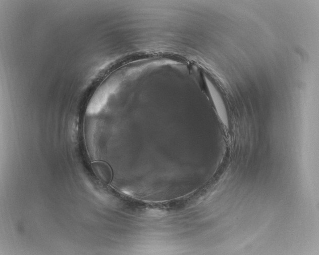 X0000115340592200911231434