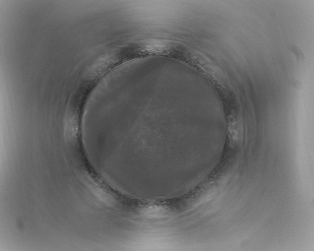 X0000115340593200911231434