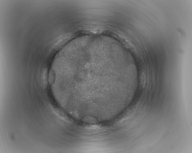 X0000115340594200911231434