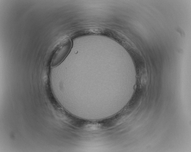 X0000115340595200911231434