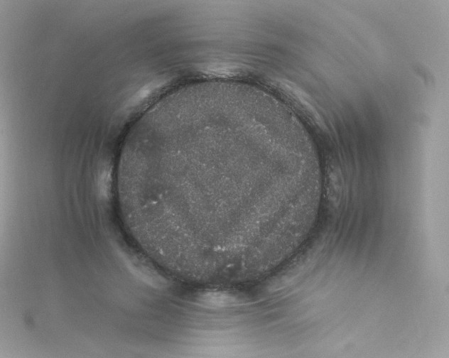 X0000115340596200911231434