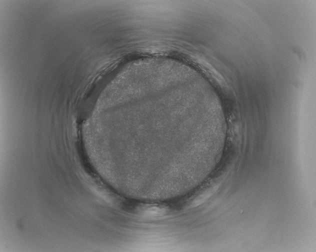 X0000115340597200911231434