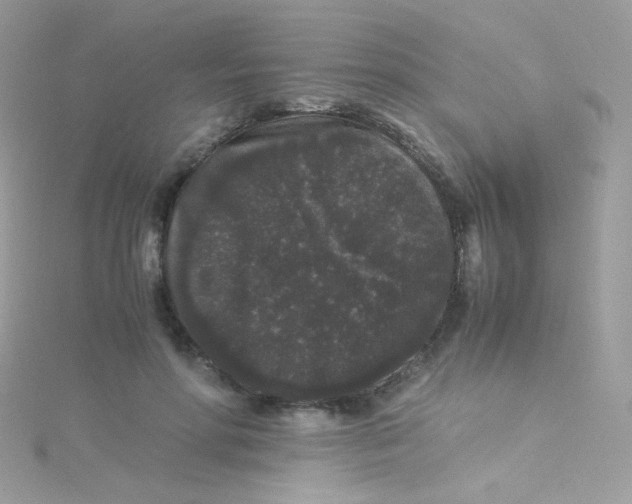 X0000115340598200911231434