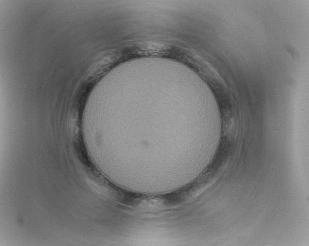 X0000115340599200911231434