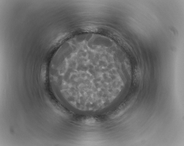 X0000115340600200911231434