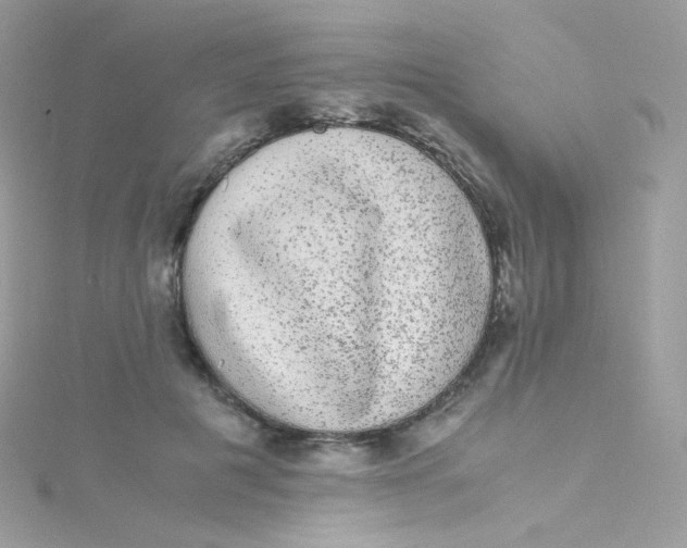 X0000115340601200911231434