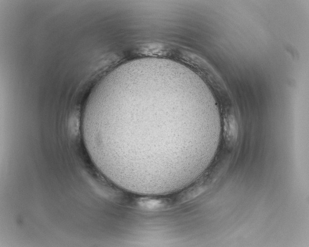 X0000115340602200911231434