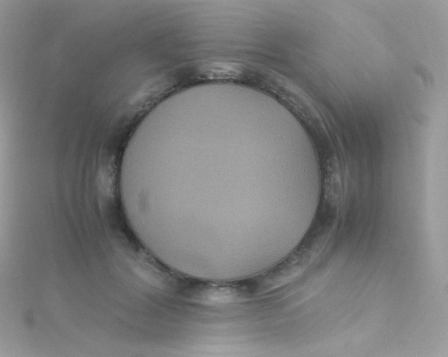 X0000115340604200911231434