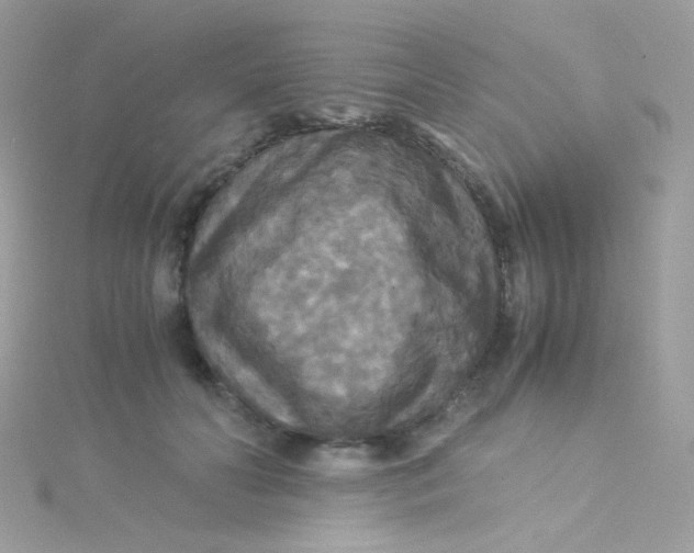 X0000115340606200911231434