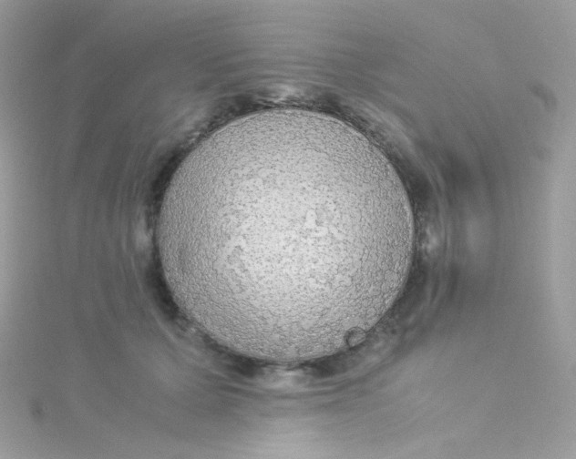 X0000115340607200911231434