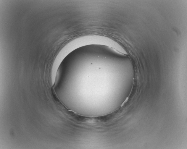 X0000115340611200911231434