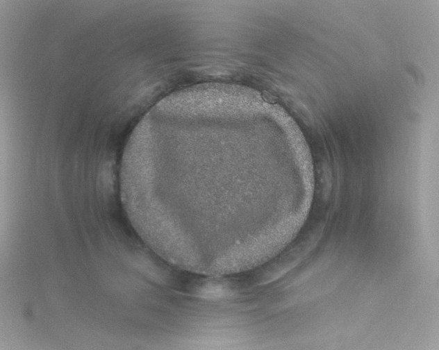 X0000115340612200911231434