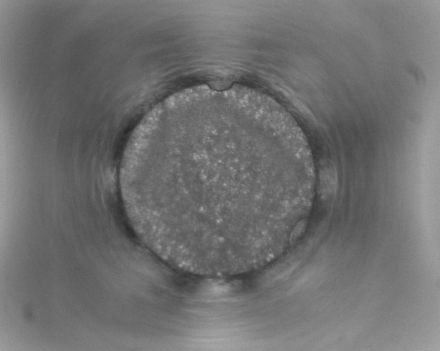 X0000115340613200911231434