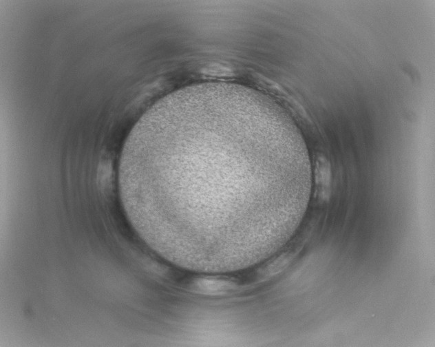 X0000115340614200911231434