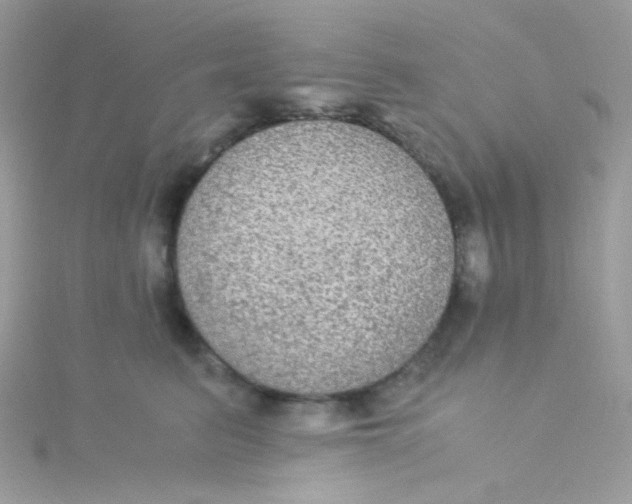 X0000115340615200911231434