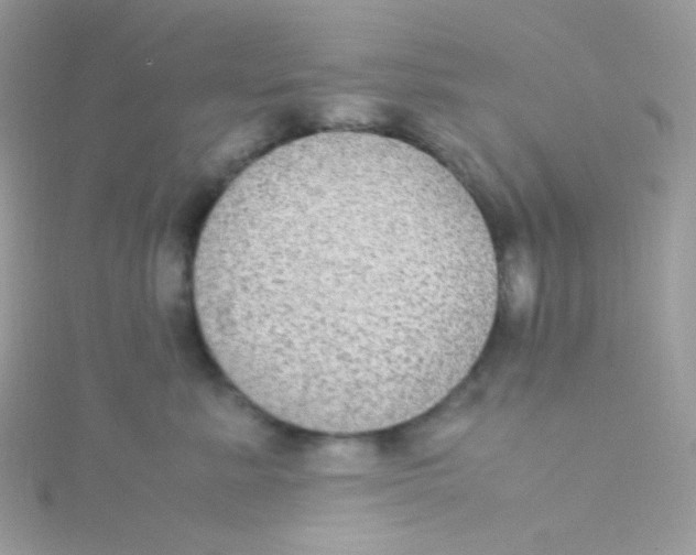 X0000115340619200911231434