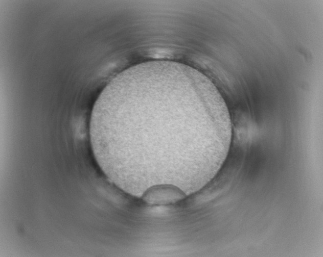 X0000115340620200911231434