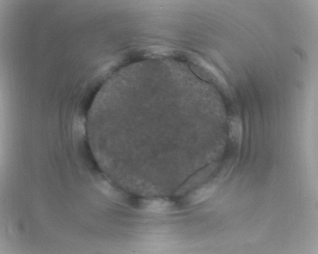 X0000115340621200911231434