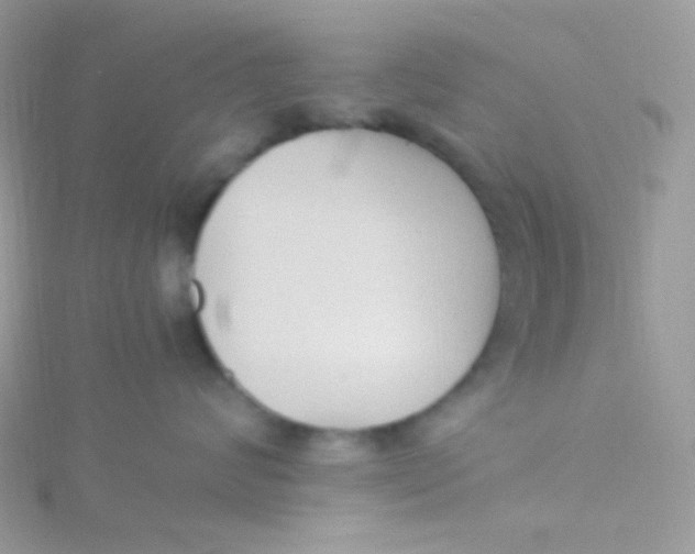 X0000115340624200911231434