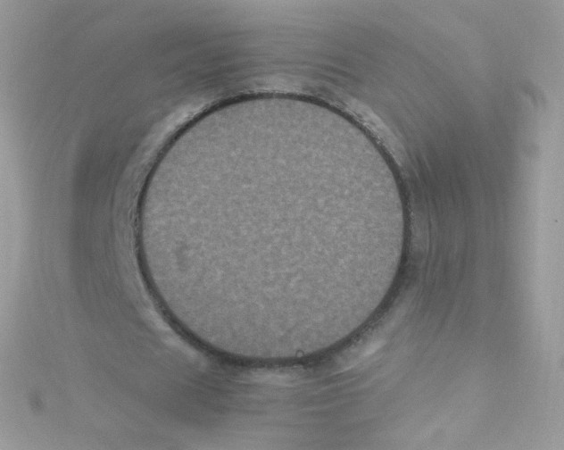 X0000115340625200911231433