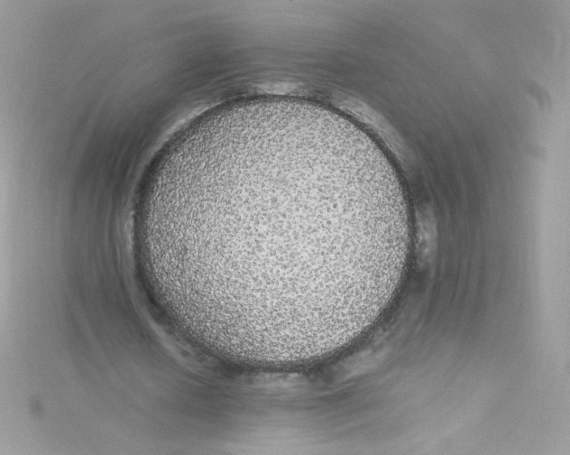 X0000115340626200911231433