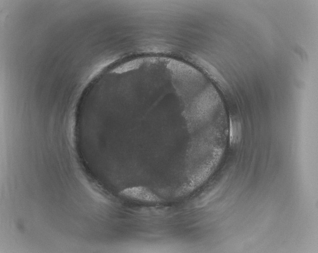 X0000115340627200911231433