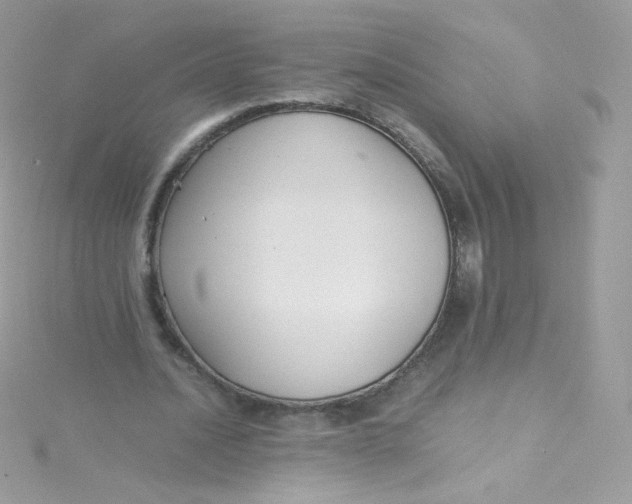 X0000115340628200911231433